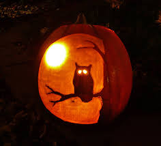 Owl pumpkin