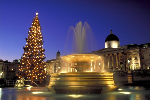Trafalgar Square Christmas Tree