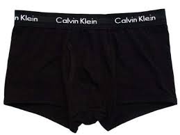 Calvin Klein briefs