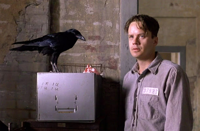 The Shawshank Redemption crow