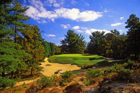 Pine Valley Course