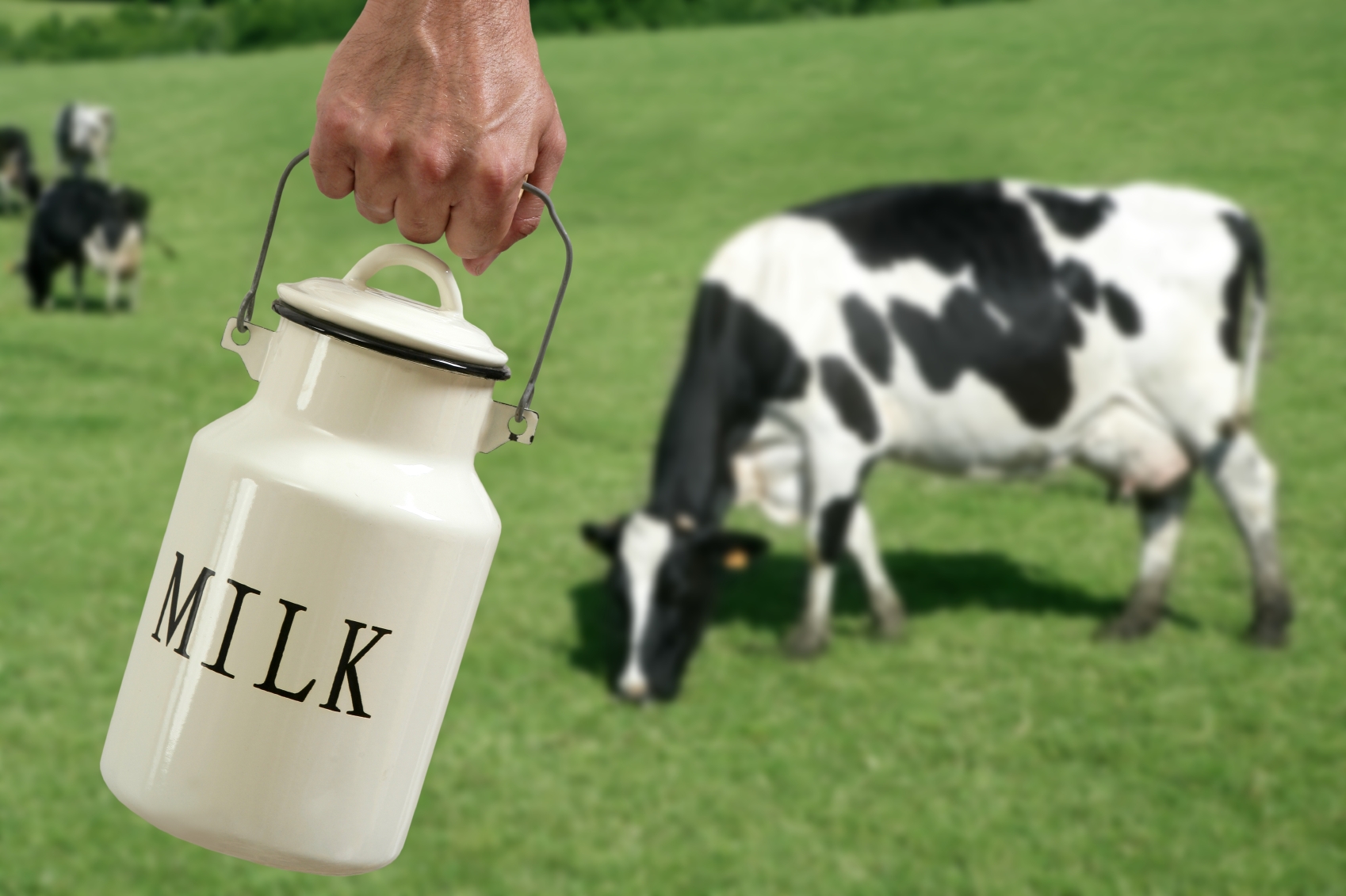 how do you get milk in farming simulator 14